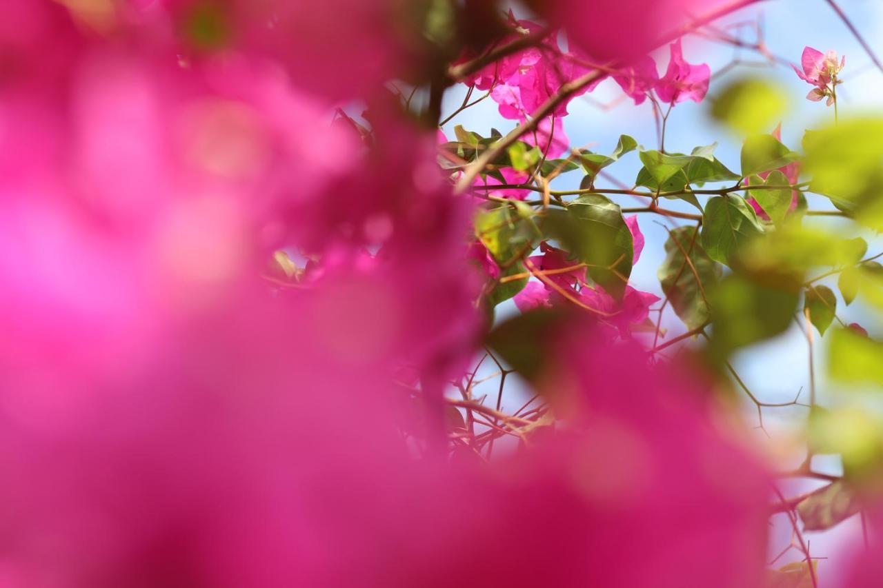 Baridi Villa キウェンワ エクステリア 写真