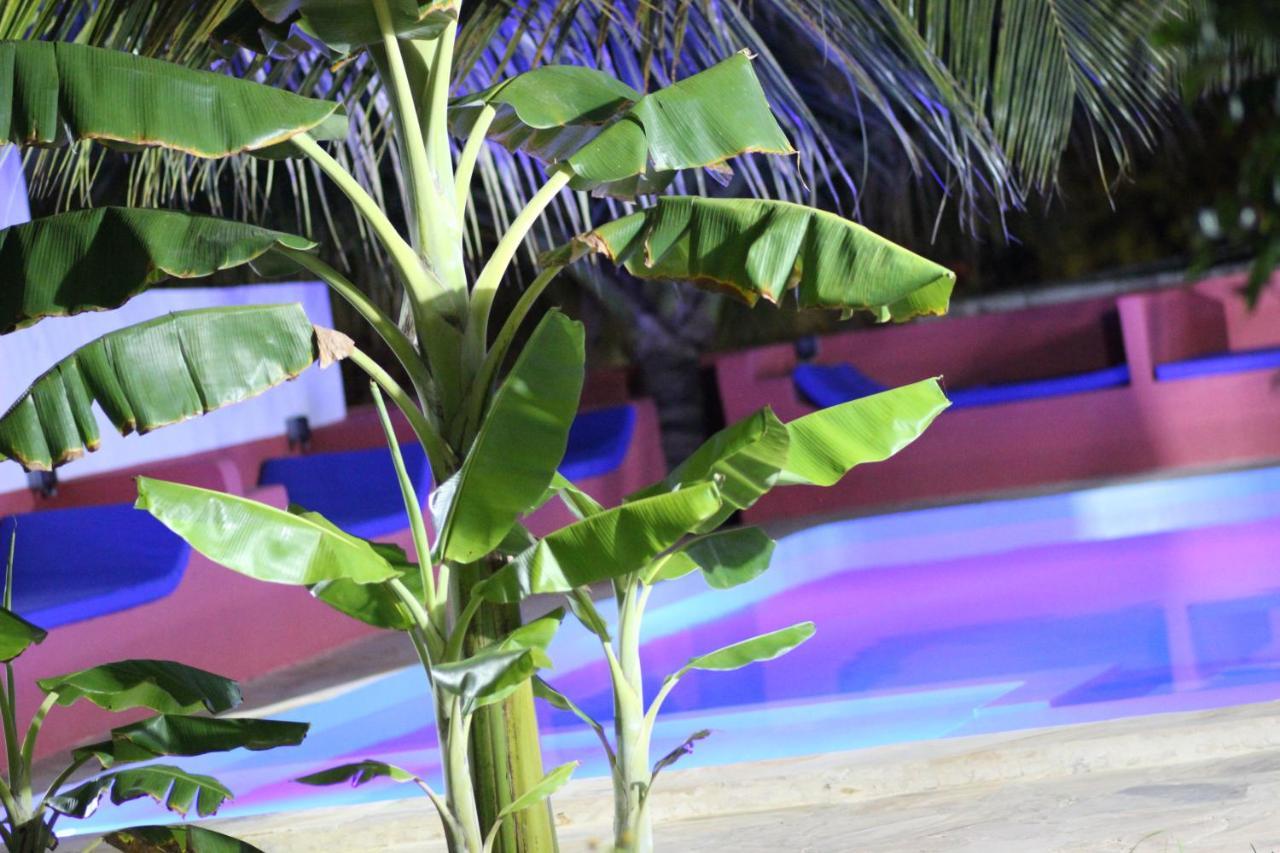 Baridi Villa キウェンワ エクステリア 写真