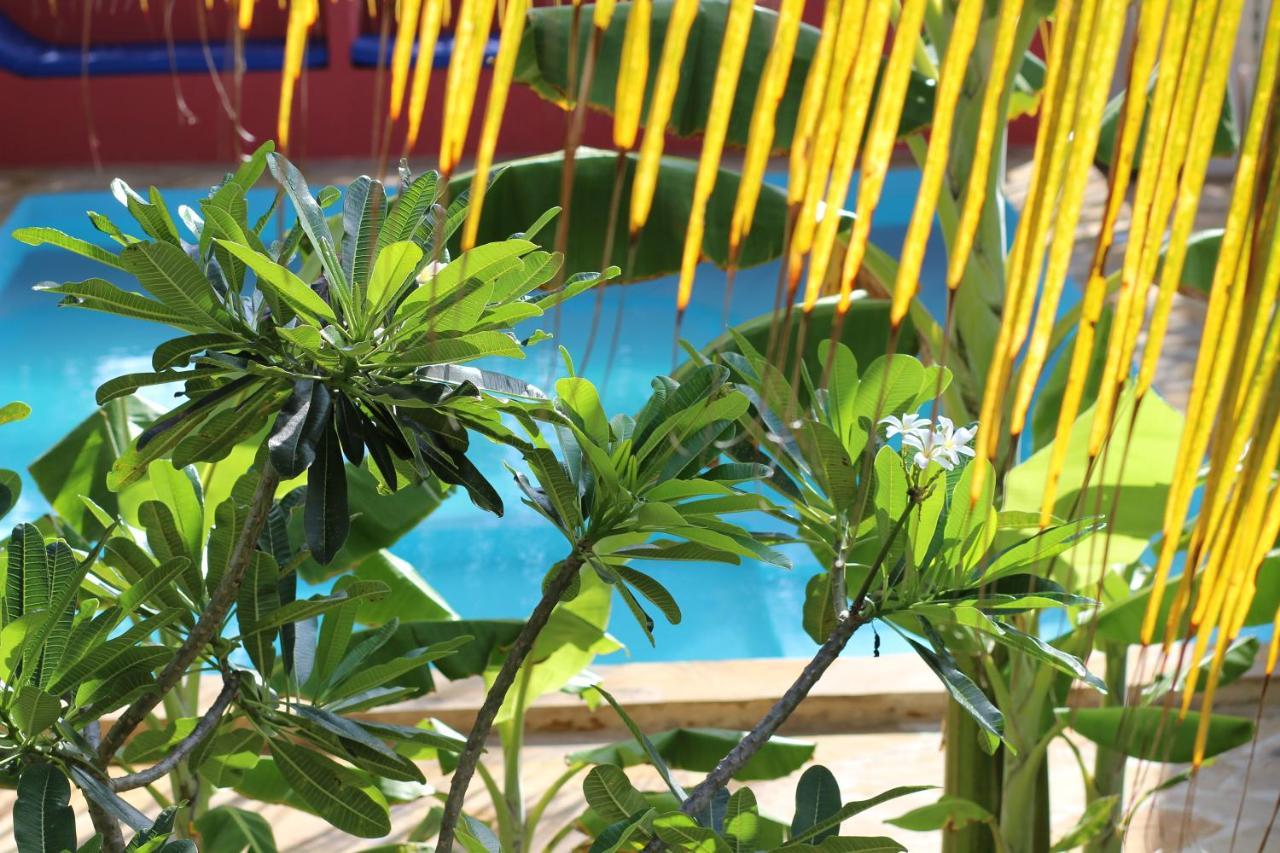 Baridi Villa キウェンワ エクステリア 写真