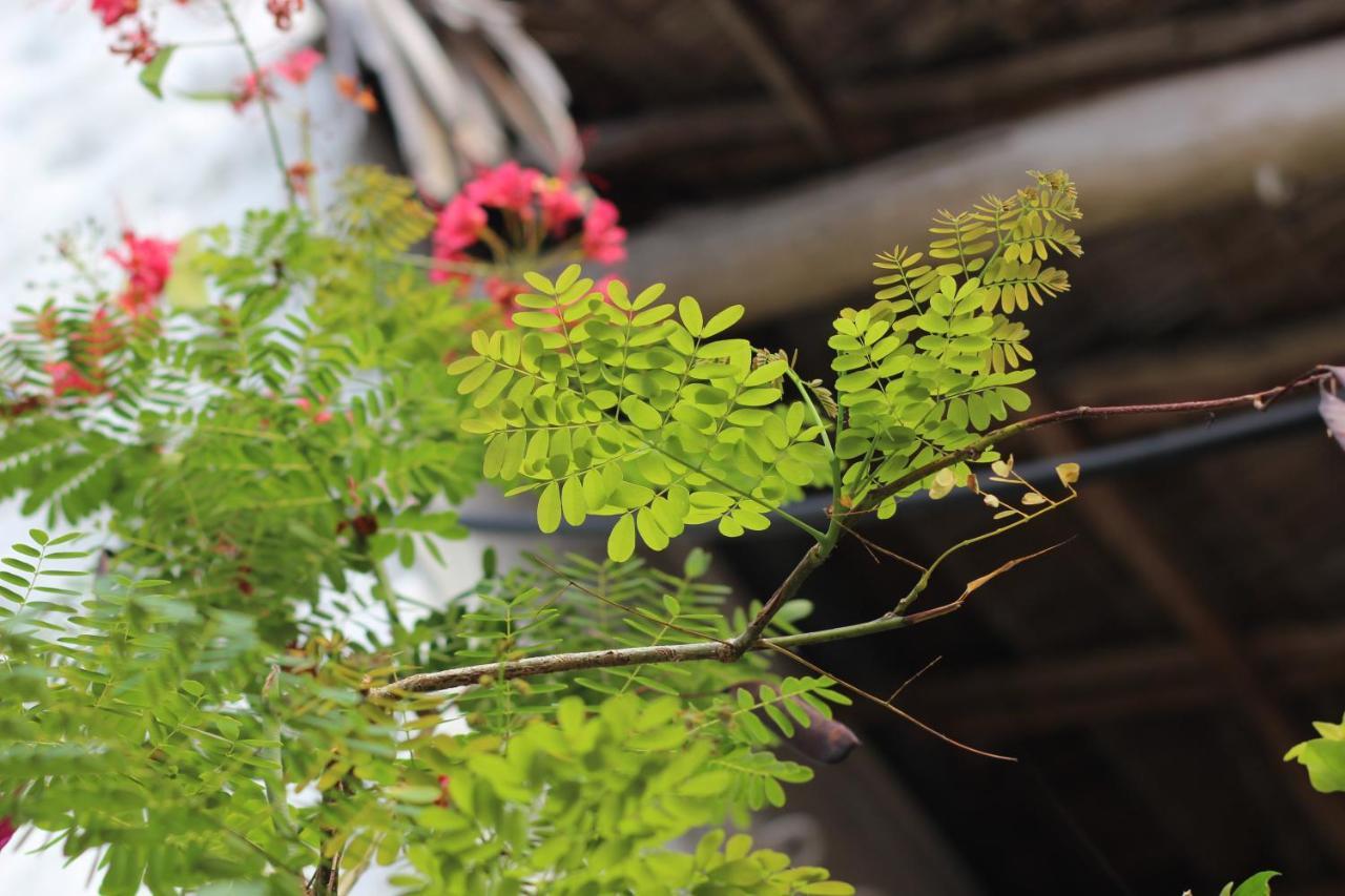 Baridi Villa キウェンワ エクステリア 写真