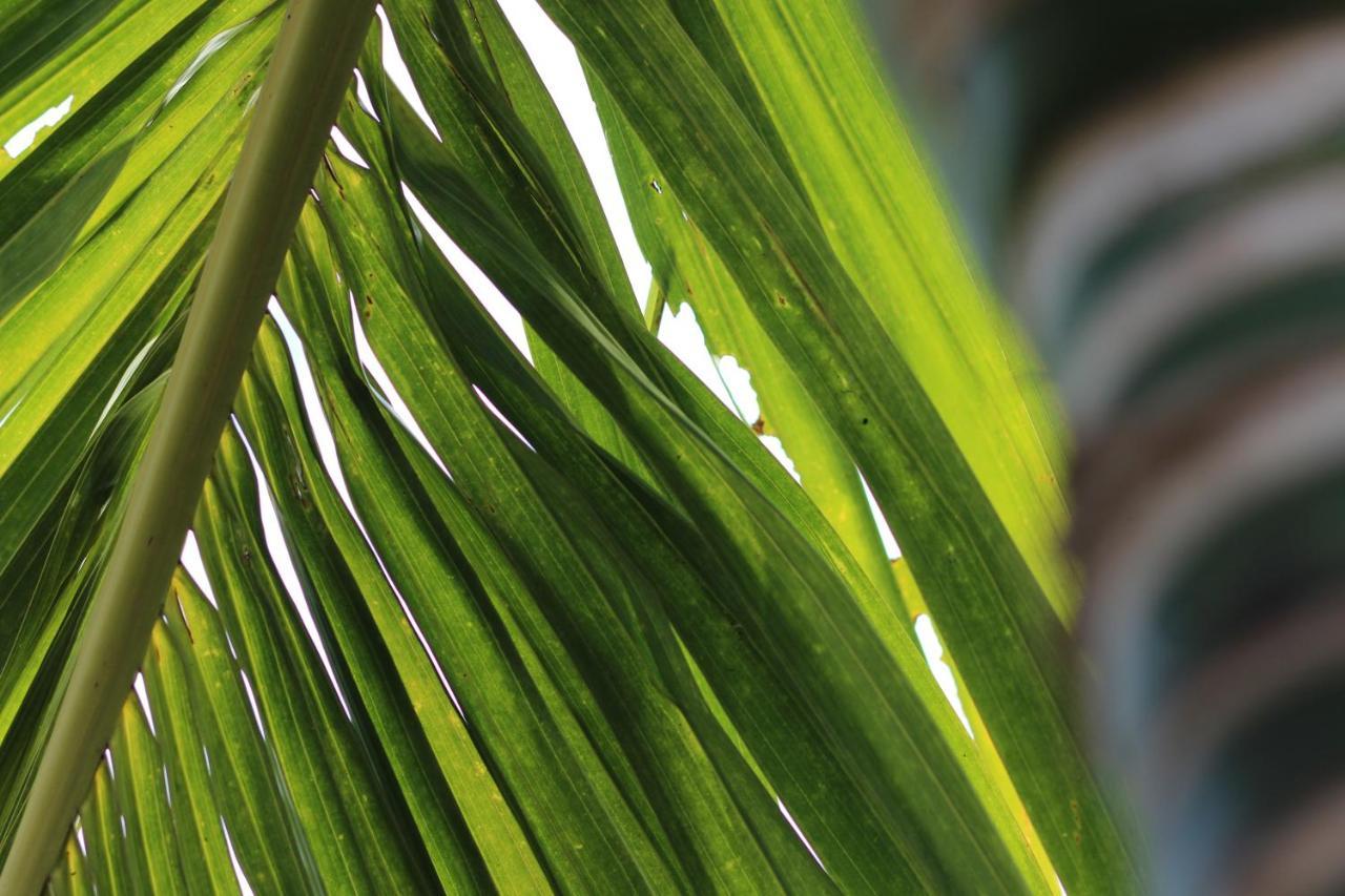 Baridi Villa キウェンワ エクステリア 写真